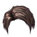 Hair Wig Accessories